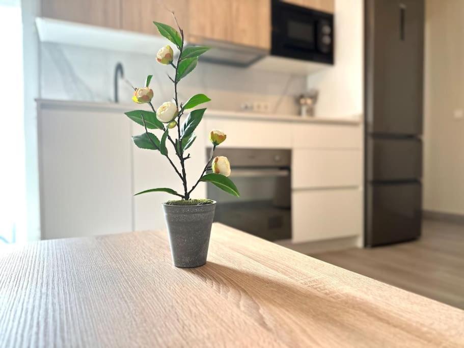 Apartamentos Rincon Andaluz 4 Cordoba Dış mekan fotoğraf